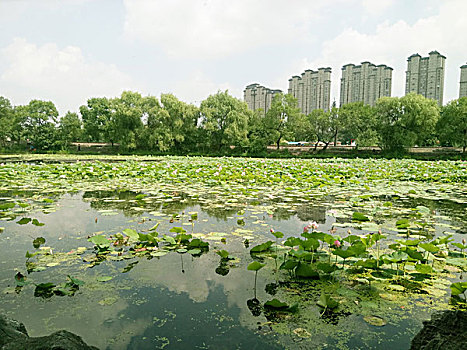 xổ số thứ 2 hàng tuần