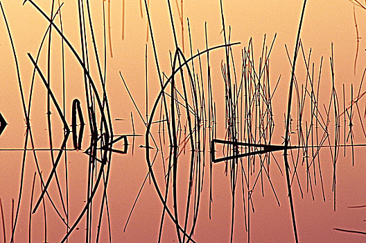 xo so minh ngoc new