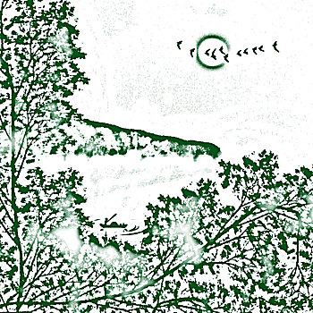 soi cau 135