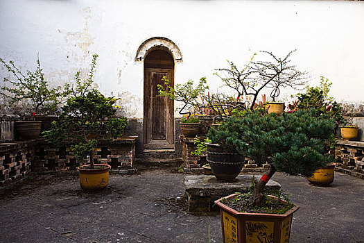 soi cau giai dac biet binh dinh