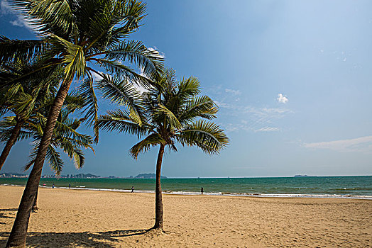 cái số đề