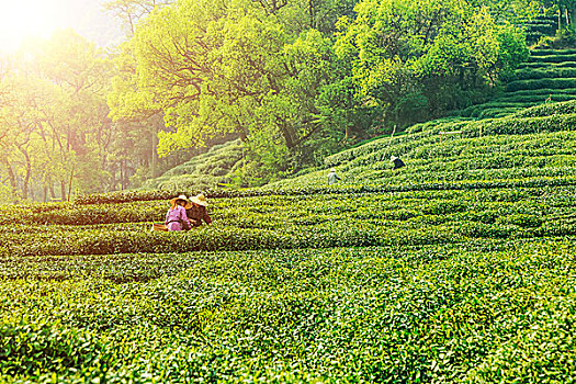 xổ số nam định