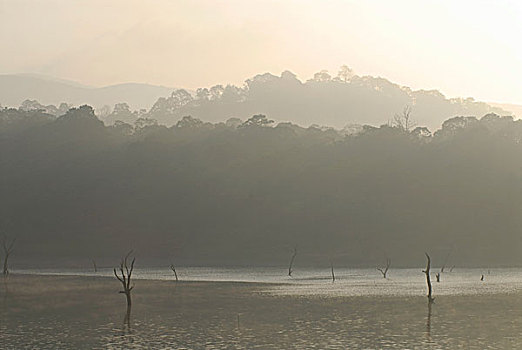 tải bigkool 2015