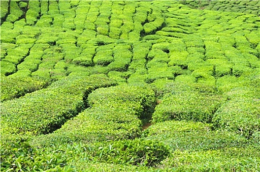 soi cầu lô miễn phí