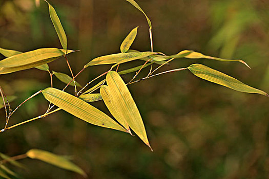 soi cầu lô ngày hôm nay