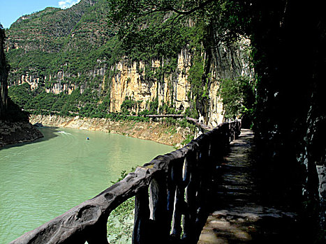 soi cau 96