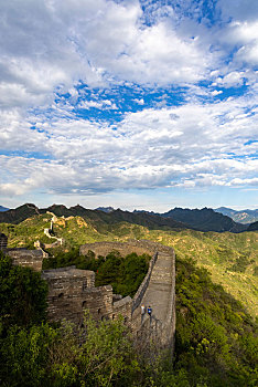 bạch thu de