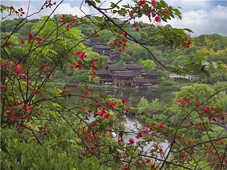 dự đoán xo so