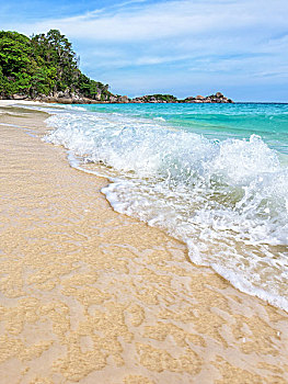 soi cau bach thu 8785