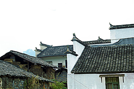 soi cầu lô bạch thủ hôm nay