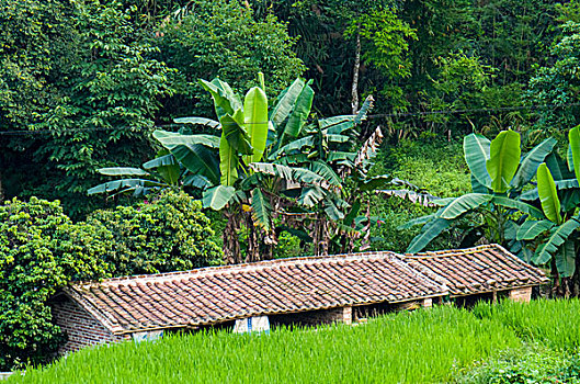 bao lô 3 con