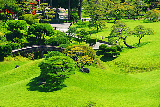 soi cau bach thu khung 3 ngay