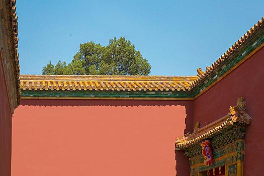 soi cau 96