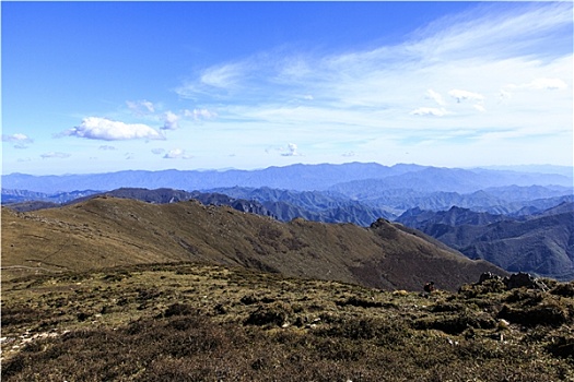 bạch thủ đề ngày mai