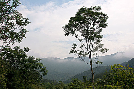 soi cầu lô miền nam