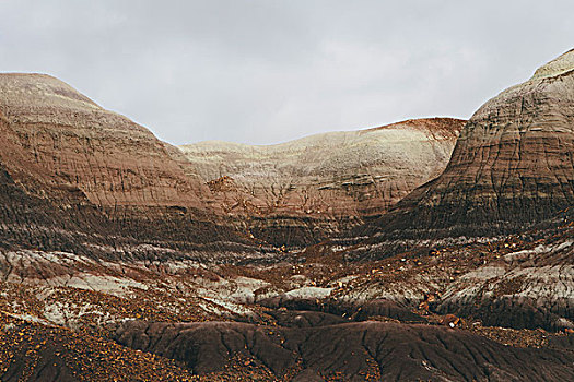 soi cau de