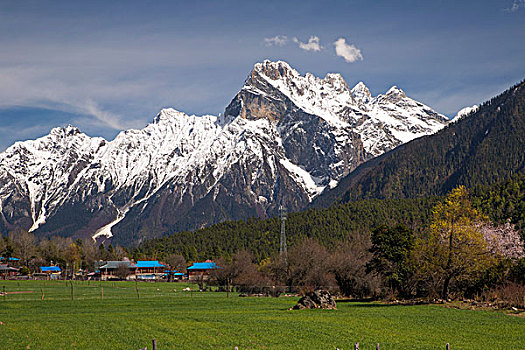 lo de tren mang