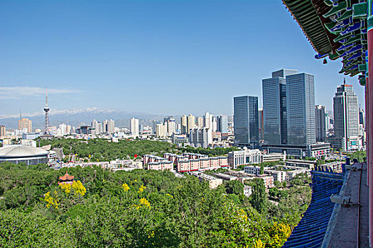 soi cau bach thu 888