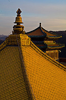 du doan m trung