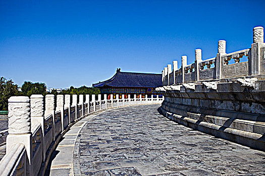 bach thu khung 5 ngay