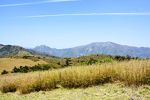 du doan kqxs 24h