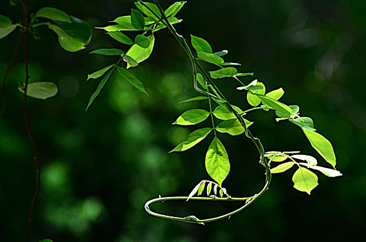 kết quả trực tiếp miền bắc