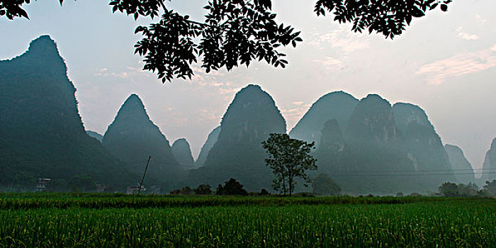 soi cầu online miền bắc