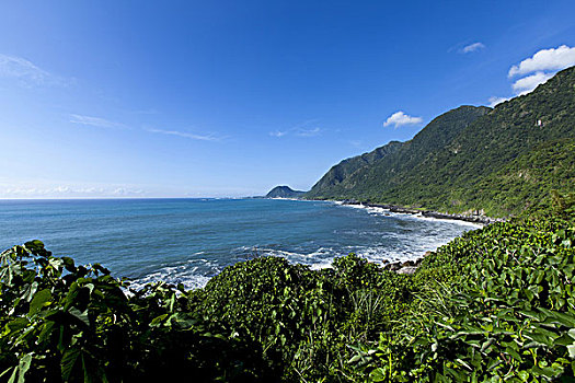 công an bắt đá gà
