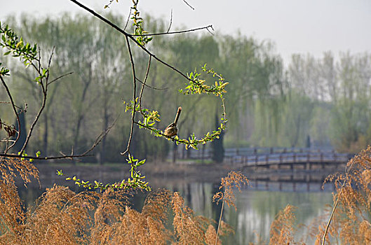 đề miền bắc hôm qua