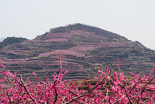 xổ số thứ