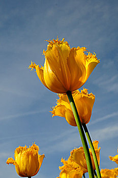 thống kê xổ số khánh hòa