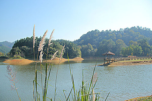 hội lô đề miền bắc