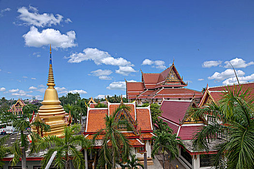 xem gà mỹ đá cựa sắt