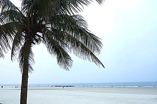 soi cau bach thu lo mb hom nay