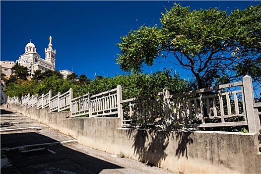 du doan rong bach kim