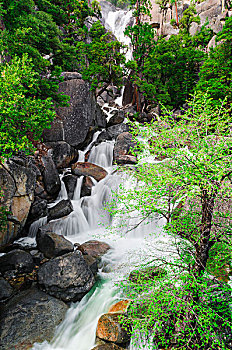 rongbachkim pc