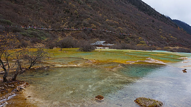 cau xsmb rong bach kim