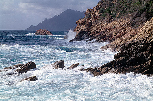 bach kim lo de