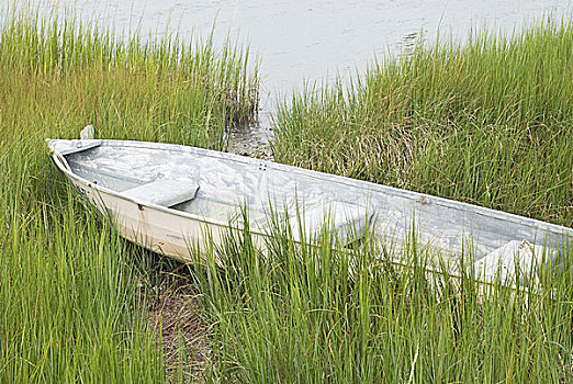 xs quang nam