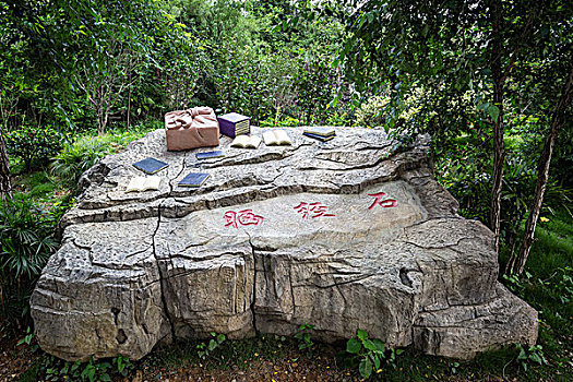 soi cau thuan vu