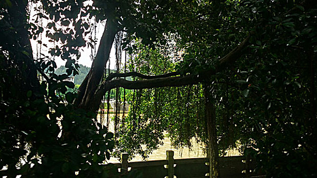 xs ninh thuân