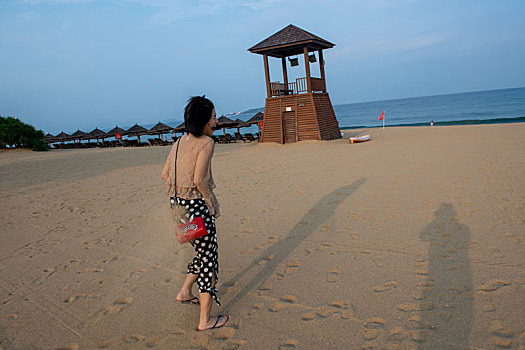 soi cau rong bach kim mien phi