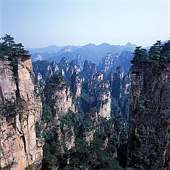soi cau du doan xs wap