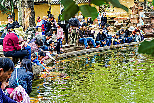 sổ ket qua