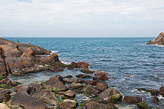 soi cau binh dinh 3s