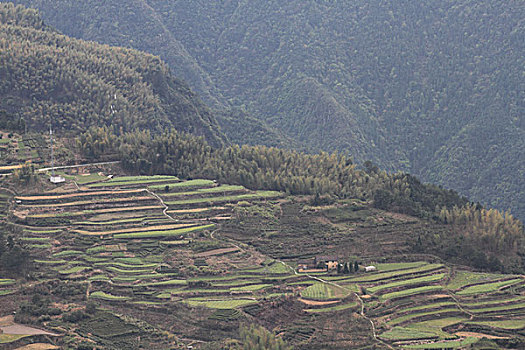 hôm nay đánh lô con gì đẹp
