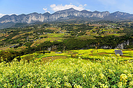 thống kê xổ số gia lai