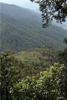 soi cau xo so kon tum