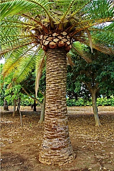 dự đoán xổ số thành phố