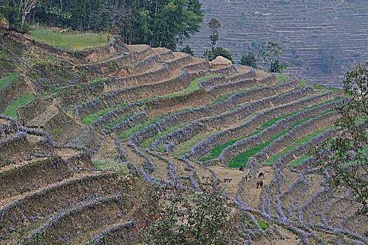 soi cầu 29